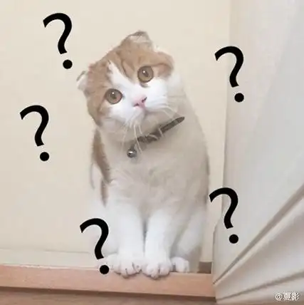 看什么看,再看就把你p成黑人问号表情包#mugi