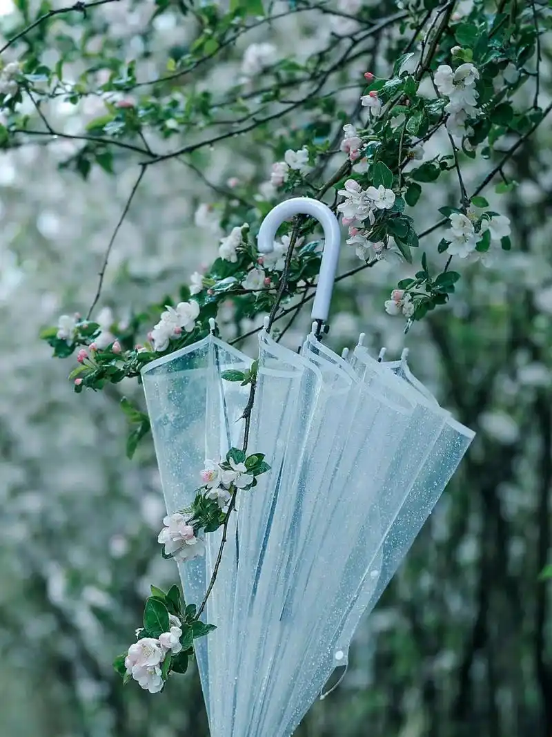 小清新壁纸头像 雨季 听雨落的声音,作者梁木辛