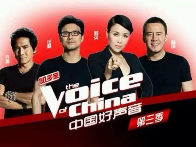 中国好声音好声音第三季