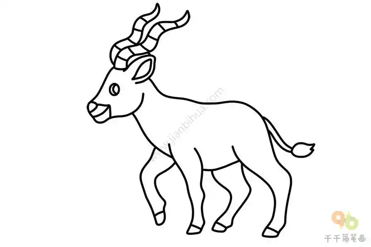 简单的羚羊简笔画画法