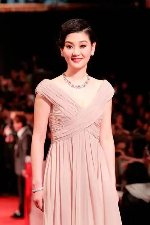 徐帆征战金马奖 卡地亚闪耀红毯