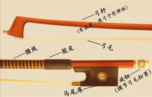 九江市青少年宫爱心微课堂(十)——小提琴