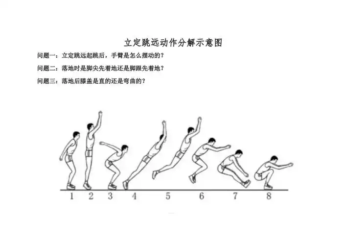 立定跳远动作分解示意图
