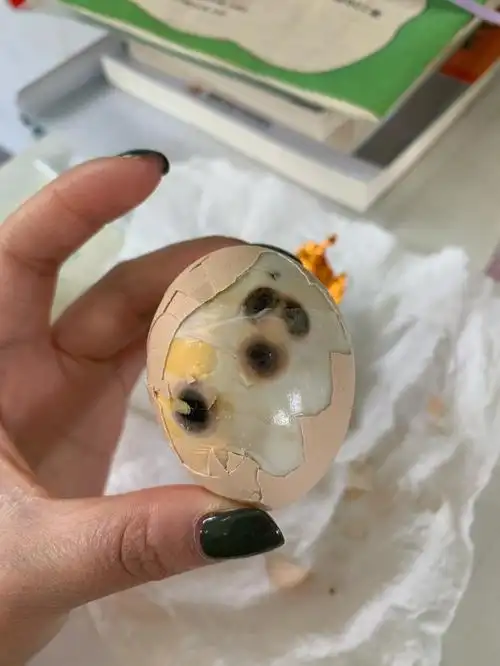 我真真会谢家人们令人头皮发麻的鸡蛋day3