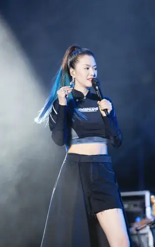 谭维维音乐节造型蓝绿色渐变马尾你觉得好看吗