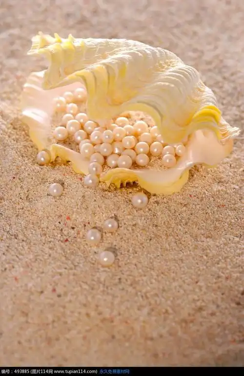 沙子上贝壳里的白色珍珠