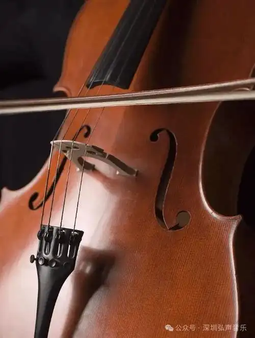 4月19日深圳大剧院音乐厅| 跟随中央音乐学院大提琴演奏家赵旭阳老师