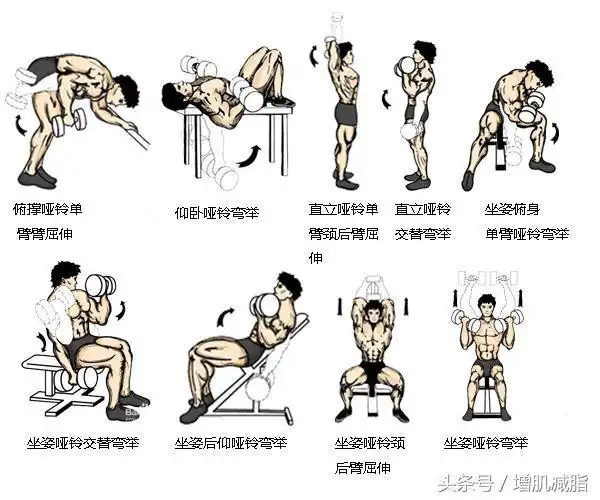 小哑铃大用处,哑铃锻炼动作图解,健身不求人!