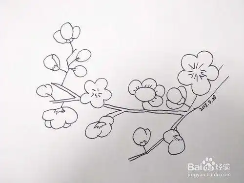 红梅花简笔画铅笔画