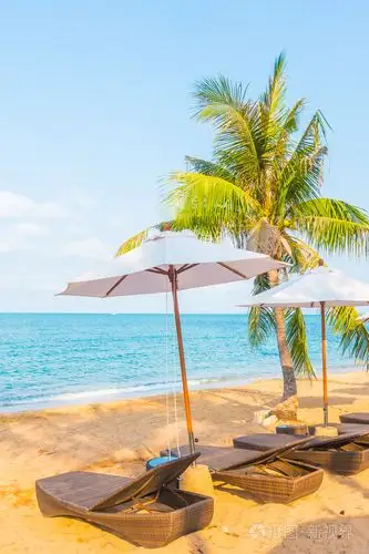 遮阳伞和热带沙滩的躺椅上