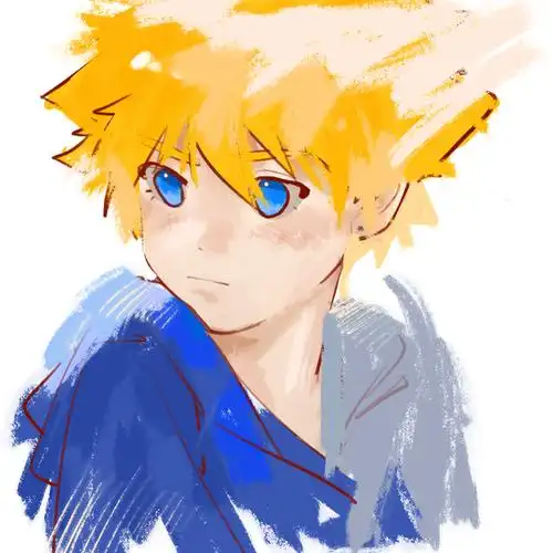 刺头辉是我的命