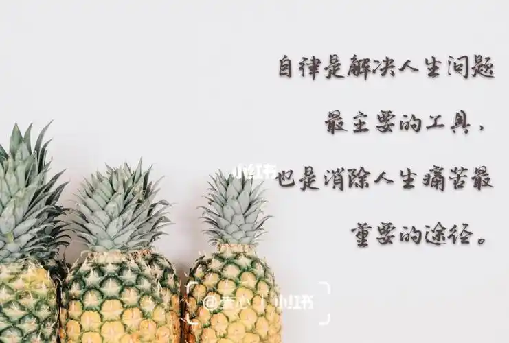 自律_素材_文字素材