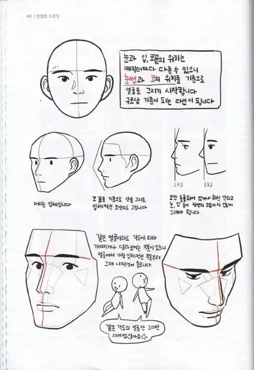 如何画脸?五官的透视与脸部的画法!