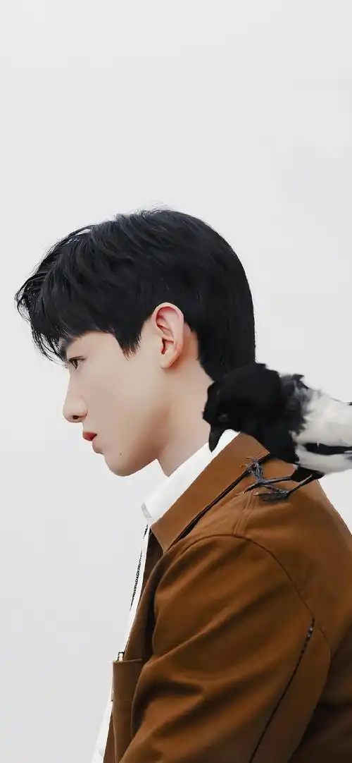 今日手机壁纸推荐