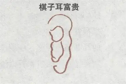 面相论人生最重要的部位(解析面相中的棋子耳)--风水,八字,解梦-玄空