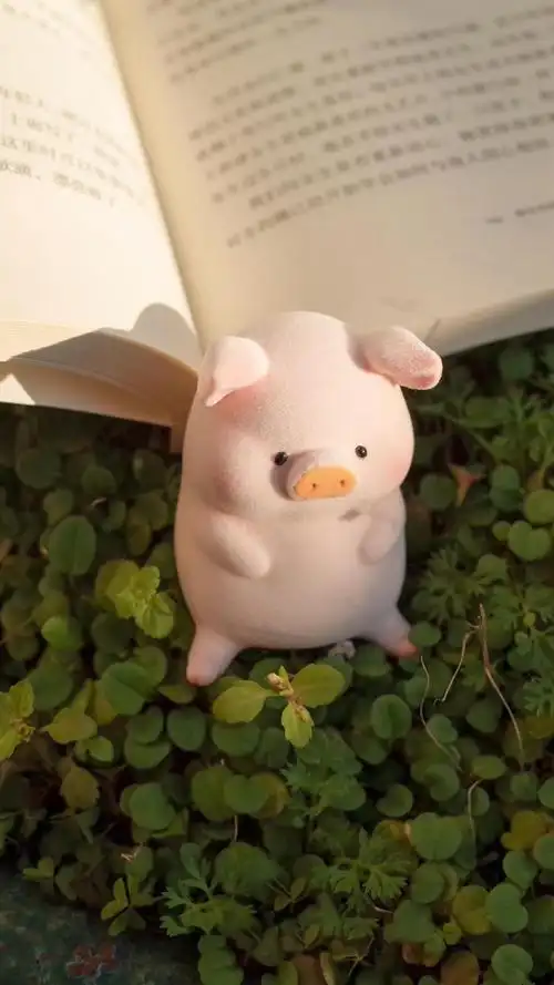 可爱调皮的小猪静物背景图