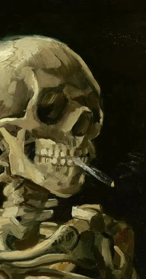 梵高骷髅头:香烟碰解剖