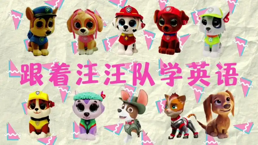 汪汪队十大角色英文怎么说都是什么犬
