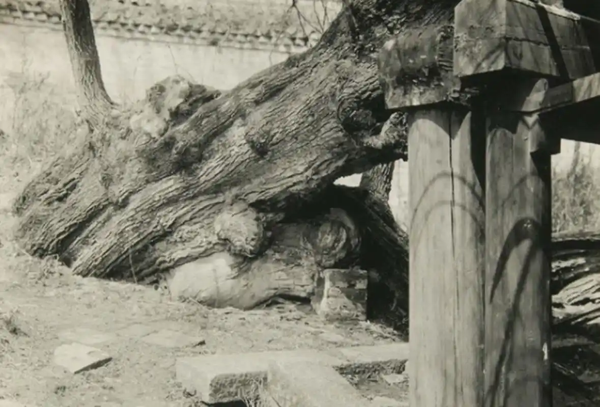 历史老照片# 1930年抚顺老照片,新宾县清永陵的民国风貌.