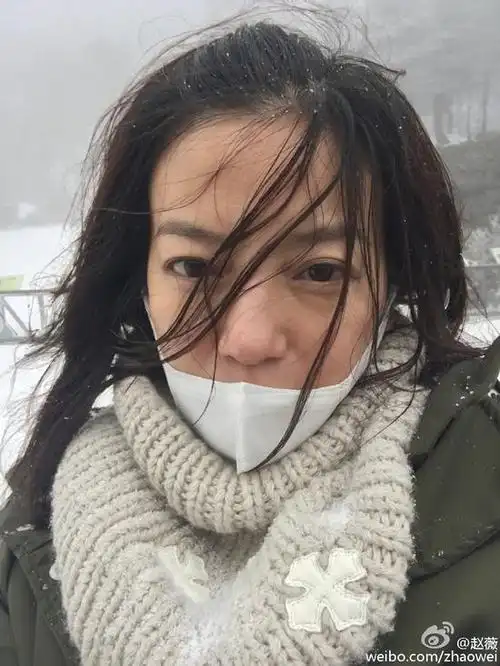 赵薇晒雪地素颜自拍 头发凌乱面容显憔悴
