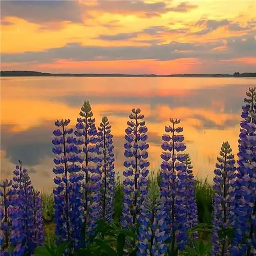 适合一辈子风景头像图片 高清值得一辈子不换的头像风景_风景微信头像