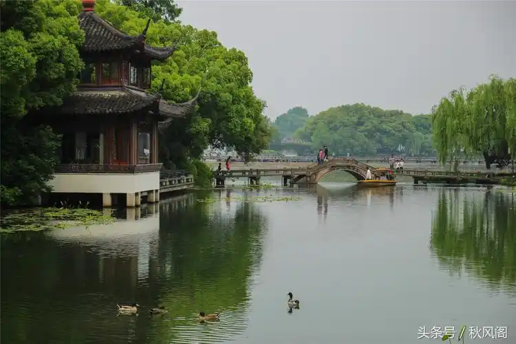 杭州西湖风景天下闻名在曲院风荷我们吟诵着什么_杭州曲院风荷景点介