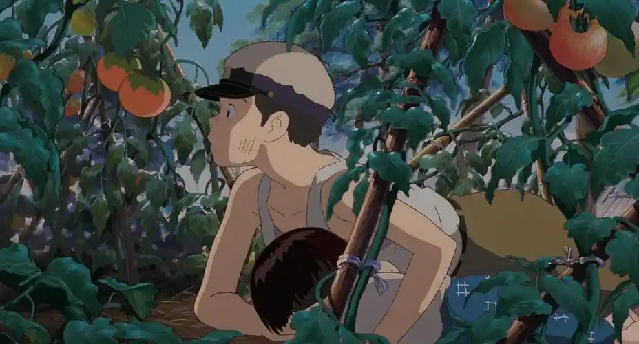 萤火虫之墓 剧照