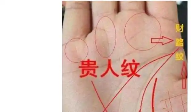 内侧生出的短线纹路 , 是一个能够得到贵人的助力而获事业成功的手相