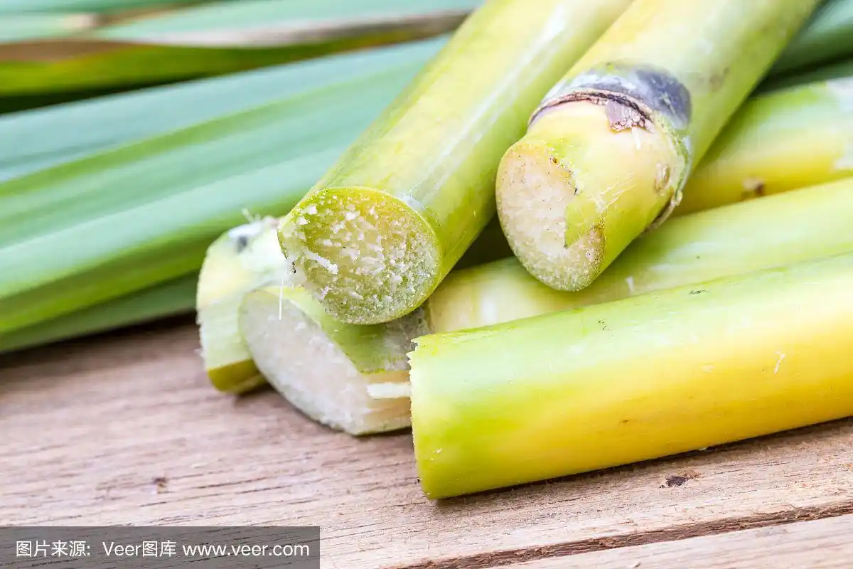 新鲜甘蔗