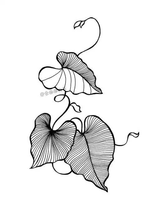 藤蔓简笔画图片(新手也能学会画的藤蔓简笔画)