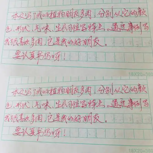 三年级下作文第一单元我的植物朋友