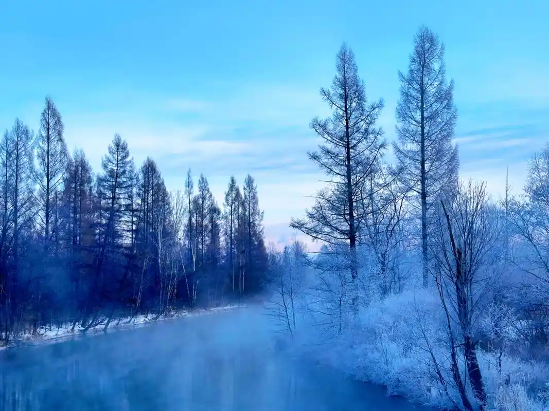 漂流 #雾凇美景 #长白山雾凇漂流 用房琪的话说: 森林里 - 抖音