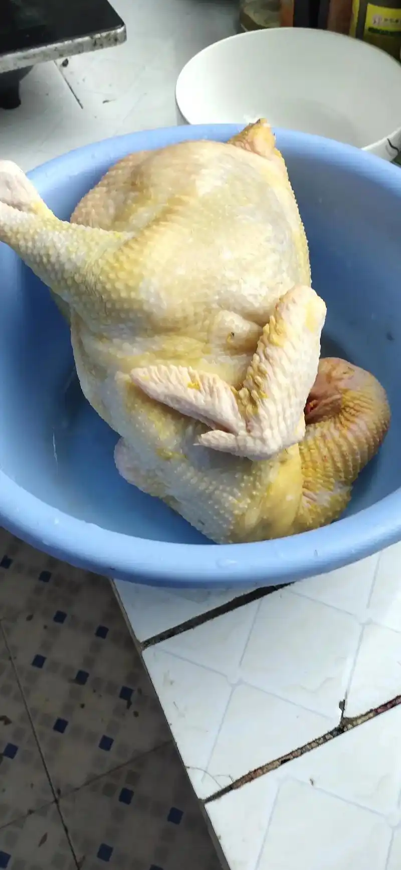 居然会杀鸡了,鸡毛还拔的挺干净的  - 抖音