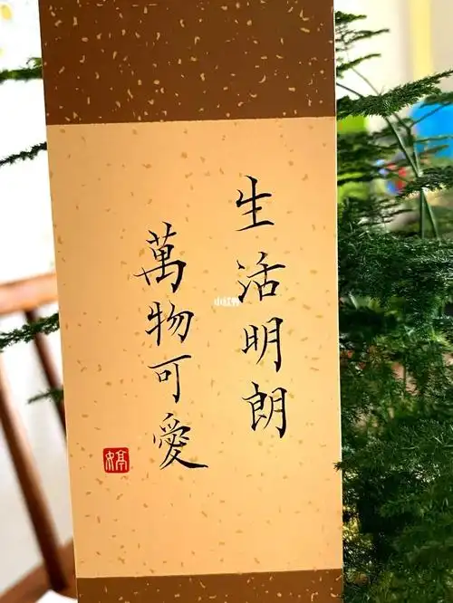 生活明朗,万物可爱|小楷分享