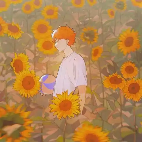 向日葵系列头像