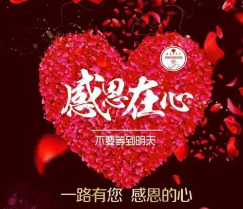 感恩的心 感谢有你 阳光实验幼儿园感恩节主题活动