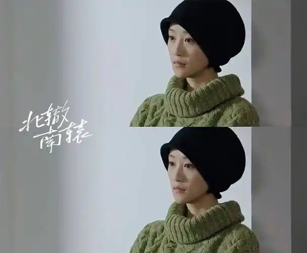 对不起北辙南辕我就喜欢蓝盈莹