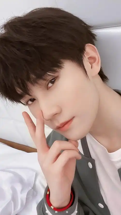 令人心动的俊美脸庞瑞凤眼混血感满分诱惑扫射少女心姐姐的最爱张真源