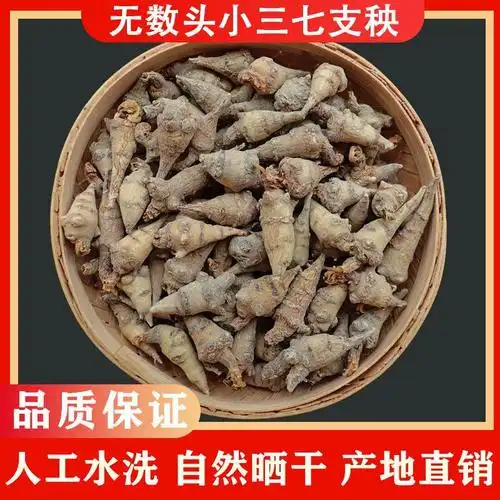 甄选 无数头三七 500克 云南文山特产小三七支秧 春三七田七水洗