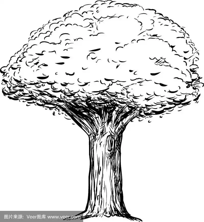 树干粗壮的树的轮廓