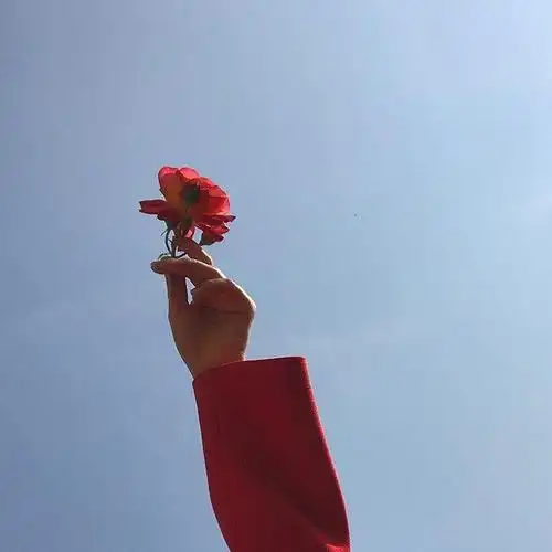 微信头像女生简单大方(微信头像女生简单大方气质)-天晟网