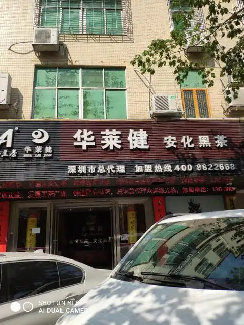 华莱健安化黑茶