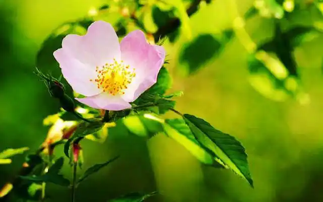 经典入心的感悟短语唯美经典句句触动心灵