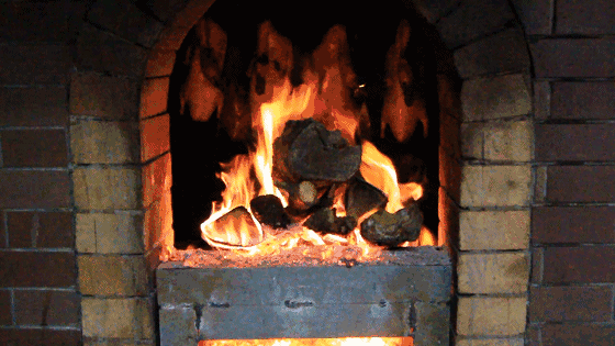 560_315gif 动态图 动图