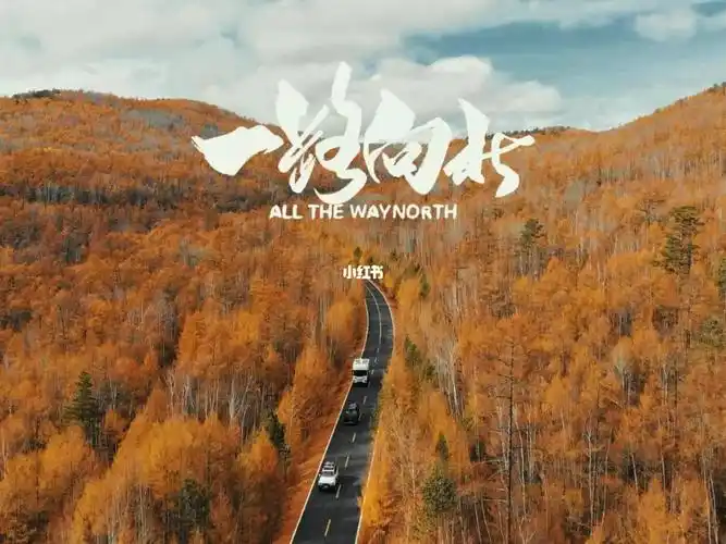 一路向北穿越大兴安岭