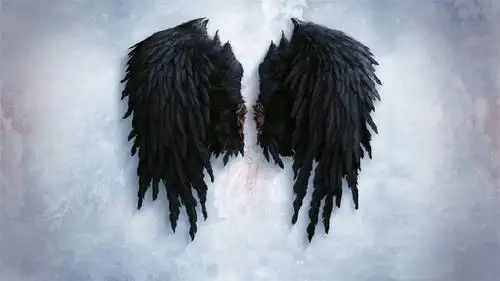 十二星座专属翅膀你是天使翅膀还是恶魔翅膀呢