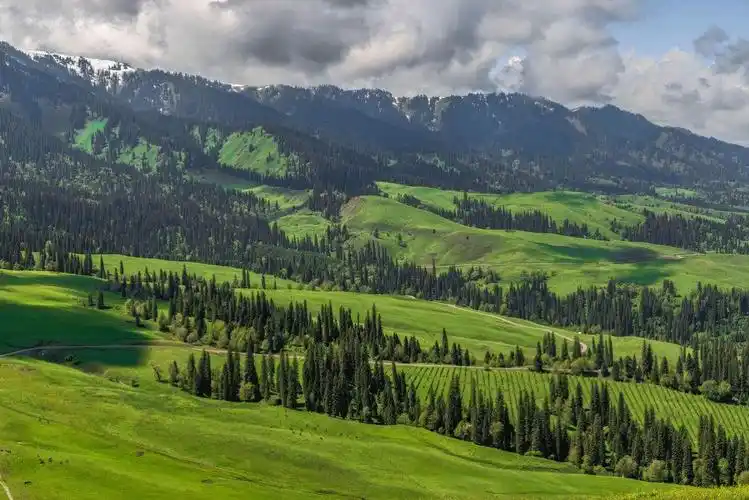 美哉,那拉提草原