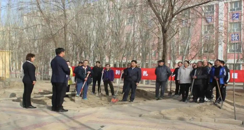 教育 | 种下扎根树 留住援疆情 叶城四中开展冬季植树暨沪叶教师融情
