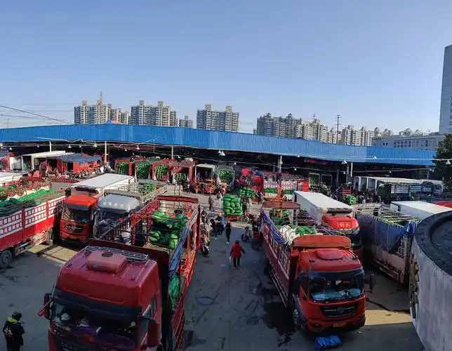 上海蔬菜管够还降价,封控小区主副食品优先送上门|上海市_新浪财经