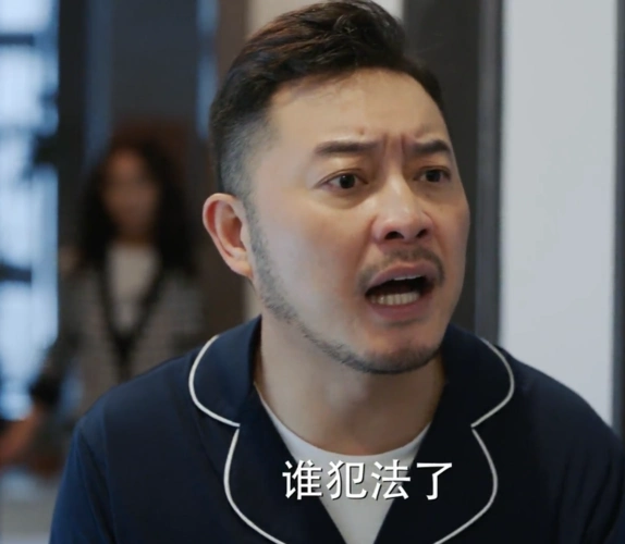 对你的爱很美沙溢刘敏涛扮演老情人张嘉益演了接盘侠